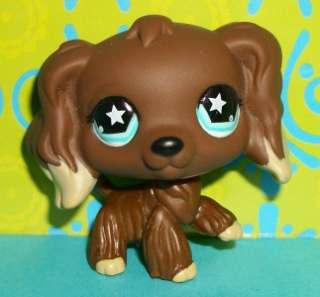 Littlest Pet Shop~#960 CHOCOLATE COCKER SPANIEL PUPPY DOG Star Eyes 
