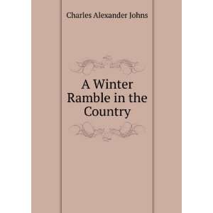    A Winter Ramble in the Country Charles Alexander Johns Books
