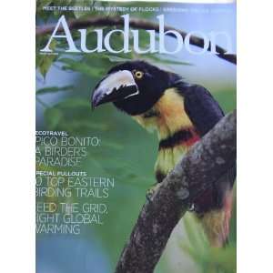  Audubon Magazine March April 2009 Pico Bonito A Birders 