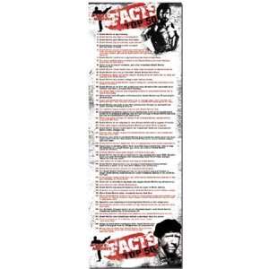 Chuck Norris Facts by Unknown 21x62