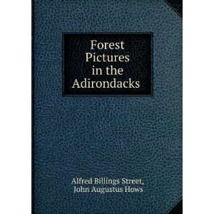   in the Adirondacks . John Augustus Hows Alfred Billings Street Books