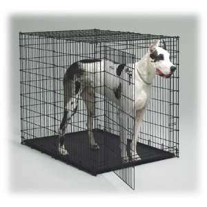  Dog Crate by BIG DOG