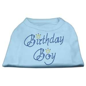   Baby Blue Rhinestone Birthday Boy Dog Tee Shirt X Large