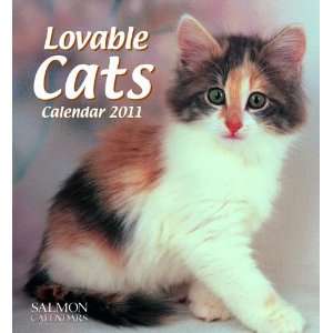  2011 Cat Calendars Lovable Cats   12 Month   22.9x24.8cm 