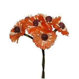 Tanday (Pink) 6 bouquets 1 California Poppies flower picks (#6205) .