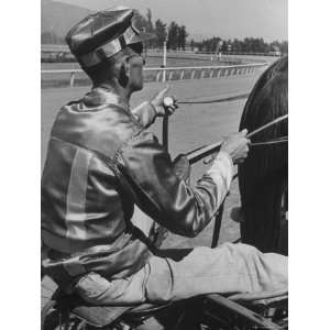  Man Sitting in Harness Behind Horse and Holding Stopwatch 
