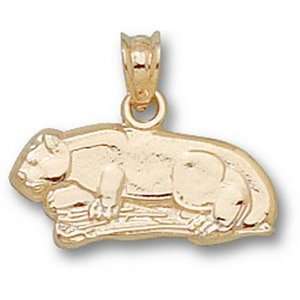  PSU 3/8in 10k Full Lion Pendant/10kt yellow gold Jewelry