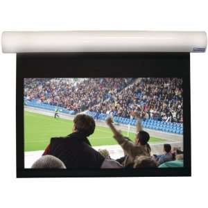   Motorized Wall/Ceiling Screens with White Housing: Electronics