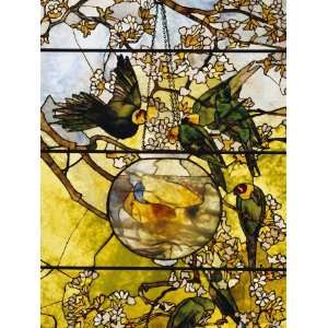  Parakeets and Gold Fish Bowl, 1893 Animals Stretched 