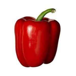  Red Bell Pepper Seeds 20 Sweet Peppers Seed By Hinterland 