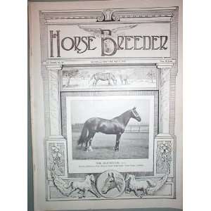  American Horse Breeder Vol. XXXVII No. 20 May 14, 1919 
